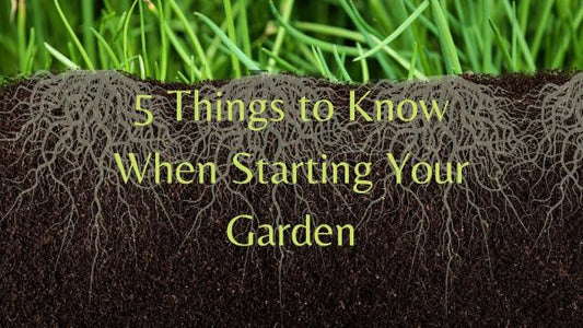 5 Things to Know When Starting Your Garden | The Young Hippie